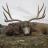 Willie Dvorak  I provide guided hunts in Alaska and South Dakota and I WILL PERSONALLY BE YOUR GUIDE.  